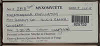 Image Associated With the Occurence